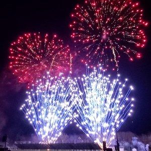 Meet your Posher, Dena